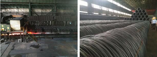 yl7703��������(����)���޹�˾